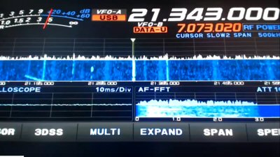 MSARS Lunchtime Net on 15m